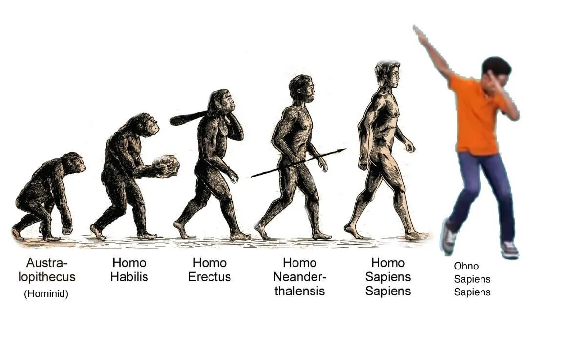 Evolution study. Антропогенез фото. антропогенез инфографика. люди будущего антропогенез. evolutionary stages of human development.