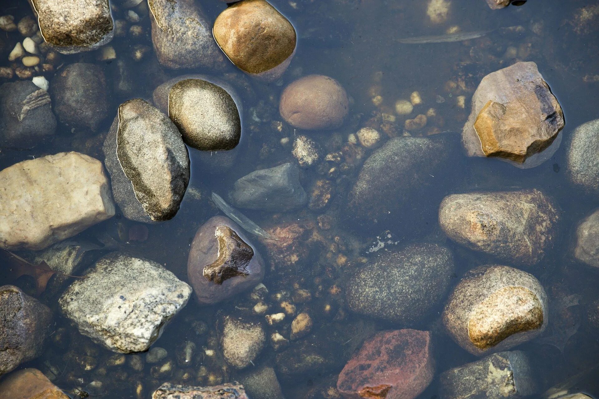 Горные породы на дне водоемов