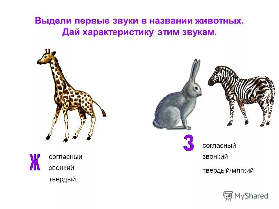 Выделение звука в слове. Выделение звука а в начале слова. Место звука в слове. Выдели первый звук в названии картинок. Игрушки для формирования фонематического восприятия.