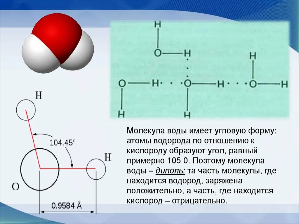 Молекула воды диполь. Угол в молекуле воды. Молекула воды представляет собой диполь. Молекула воды имеет форму диполя.