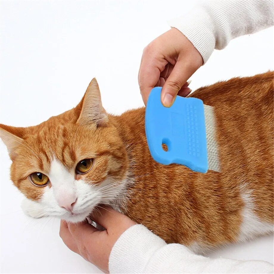 Как вычесывать кошку