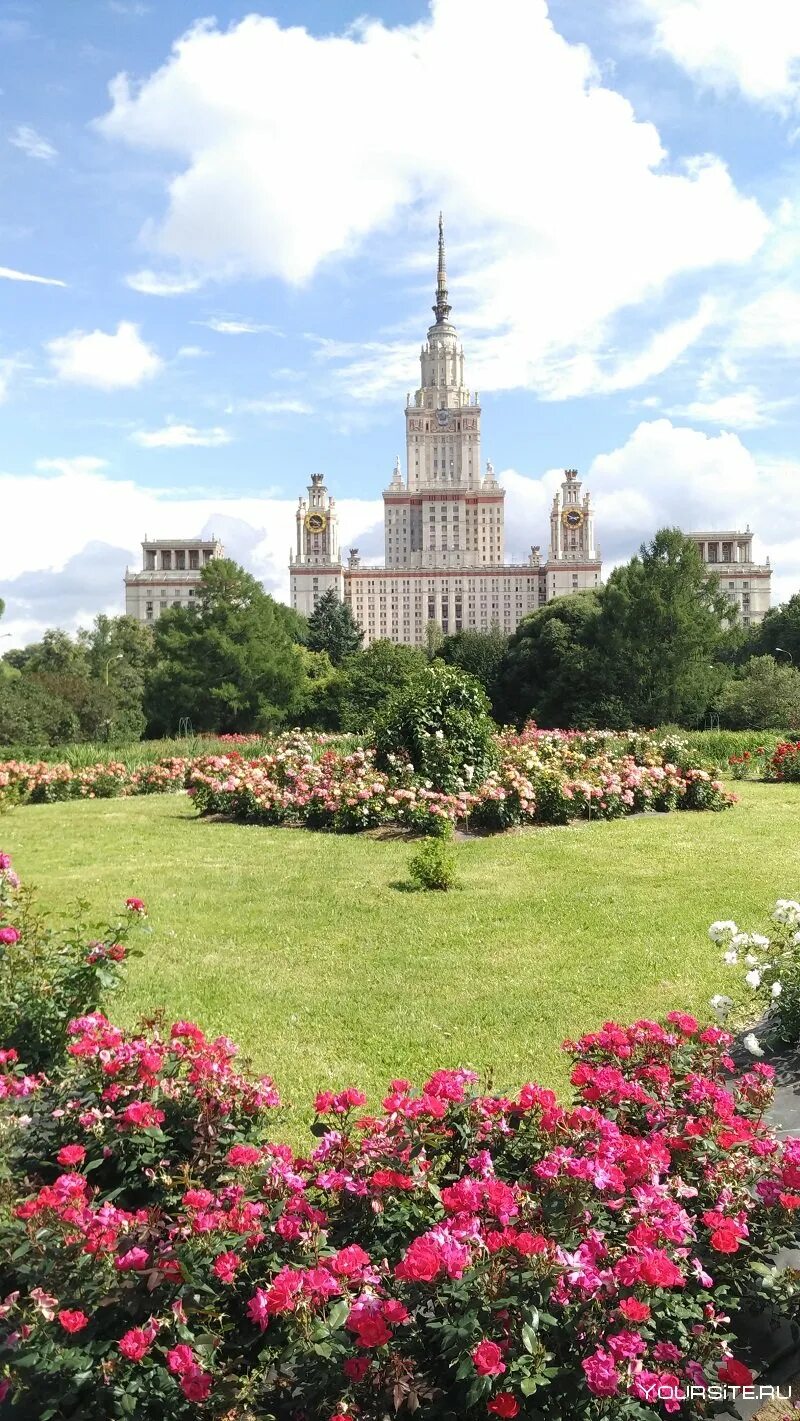 Сад биологического факультета мгу. Ботанический сад МГУ. Ботсад МГУ на Воробьевых горах. Ботанический сад биологического факультета МГУ. Ботанический сад МГУ имени м. в. Ломоносова «Аптекарский огород».