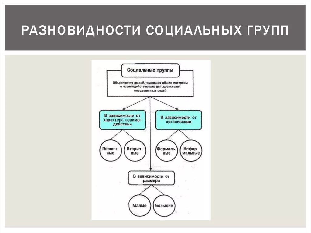 Дайте характеристику типов социальных групп. Социальные группы. Виды социальных групп. Социальные группы схема. Типы социальных групп схема.