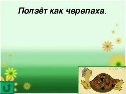 Первая черепаха проползла в 3 раза больше
