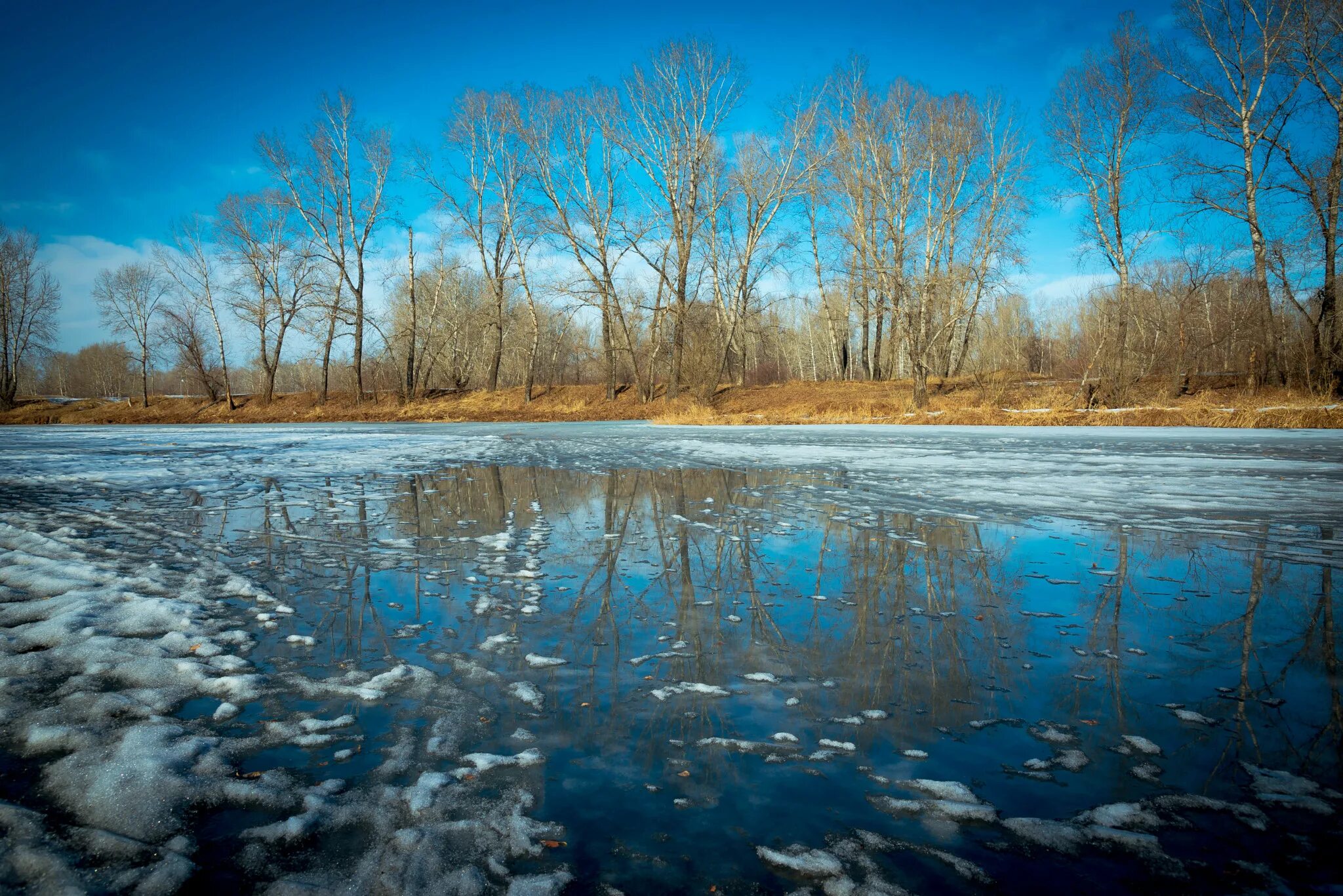 Талые воды весной. Весенние воды. Вода весной. Вешние воды. Весенние воды фото.