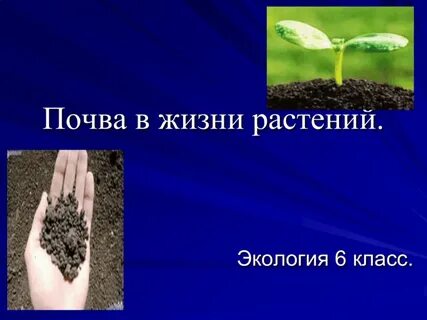 Влияние почвы на жизнь растений