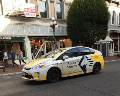 Taxi police