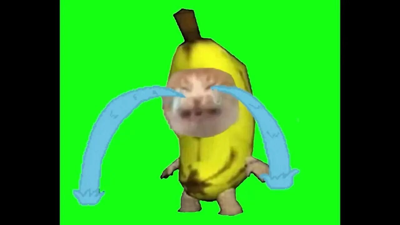 Banana cat cry