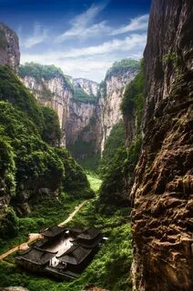 Wulong