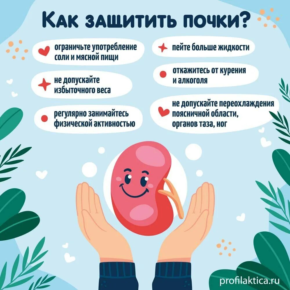 Почечная колика неотложная доврачебная помощь. Профилактика заболеваний почек. Первая помощь при почечной колике алгоритм. Реналис капс 30. Реналис от почек.