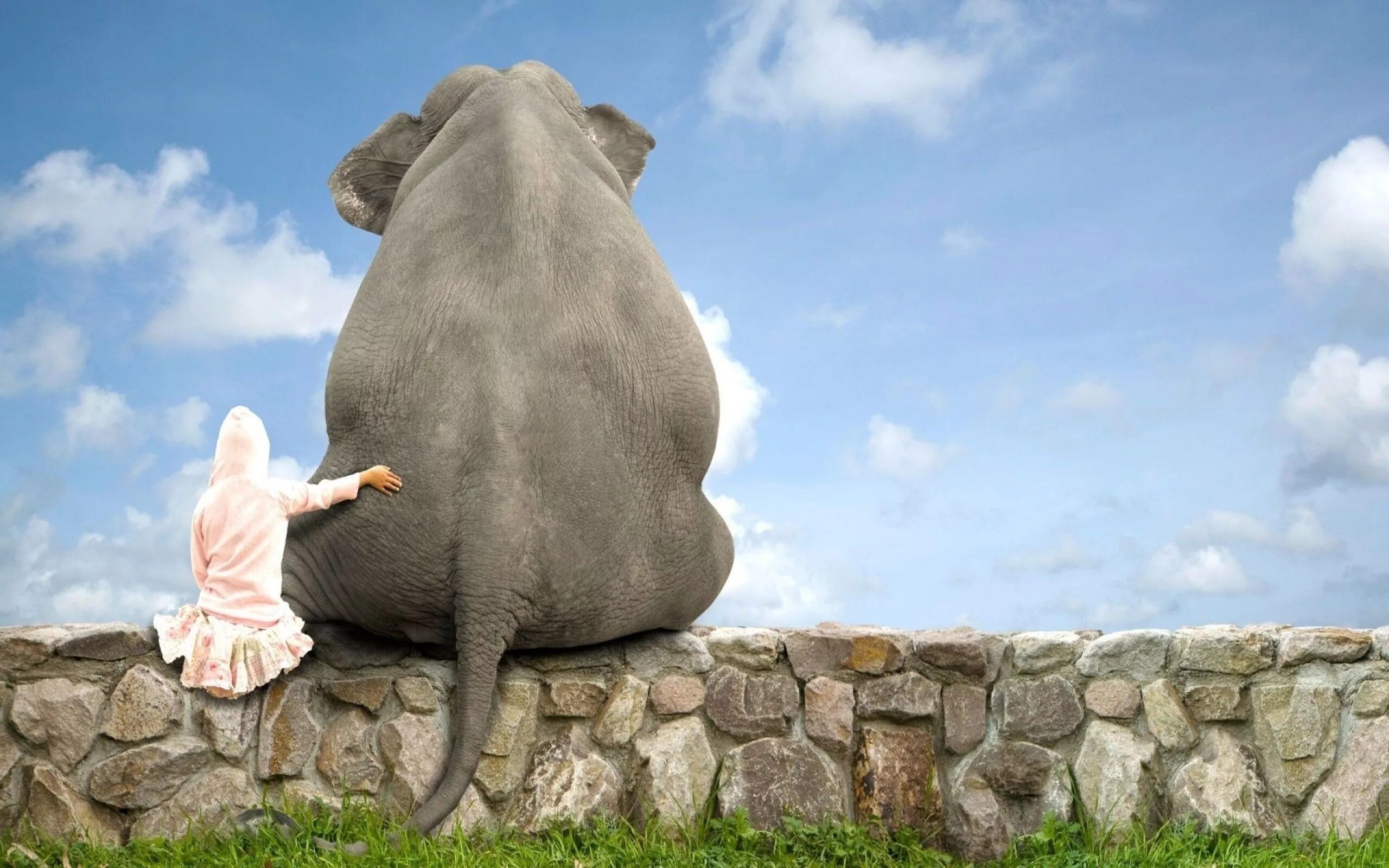 А с другой стороны очень. Девочка и слон. Девочка обнимает слона. Красивый слон. Девушка слониха.