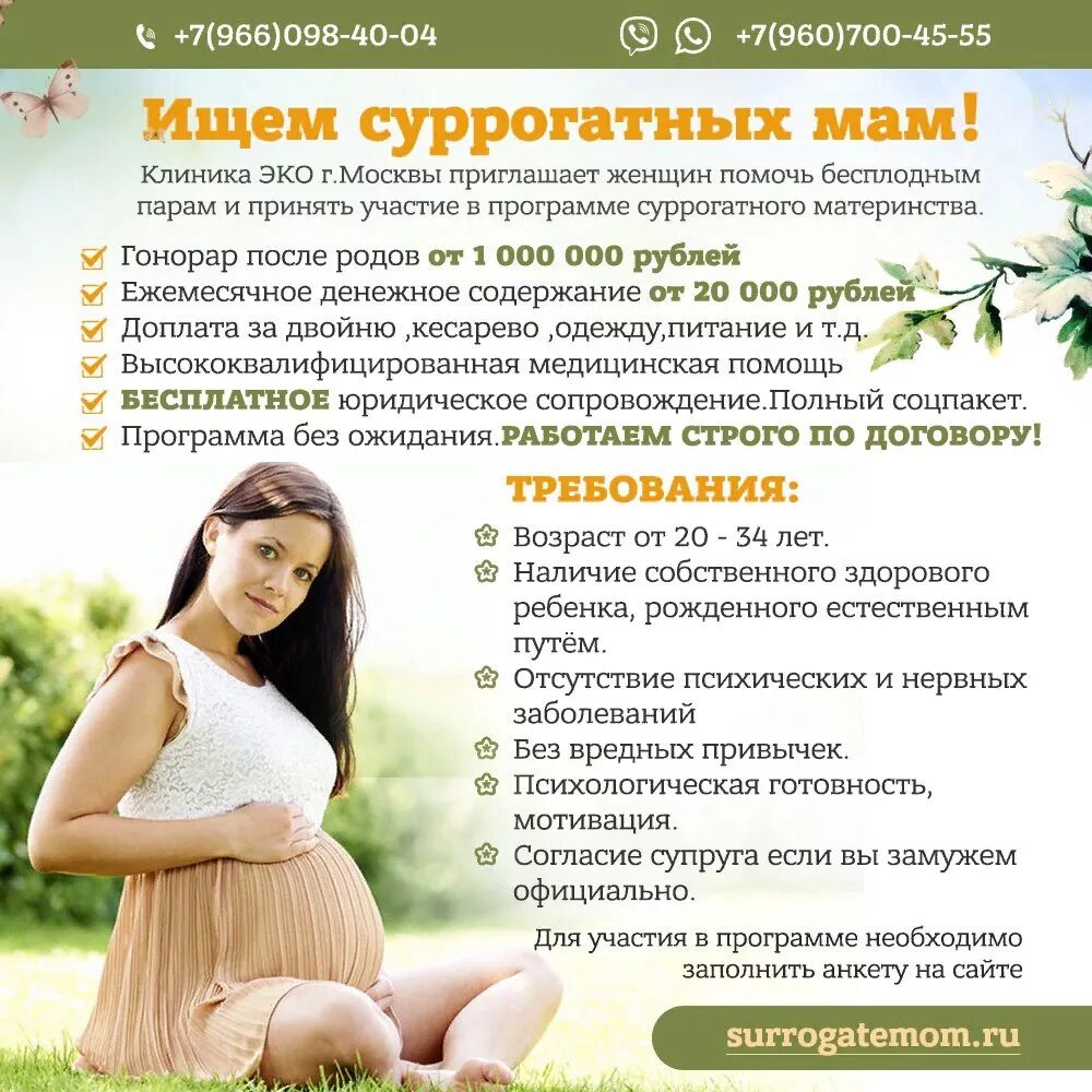 Услуги суррогатной матери. Стоимость суррогатного материнства. Сколько заработает суррогатная мама. Услуги суррогатного материнства. Сколько заработает суррогатная мама.