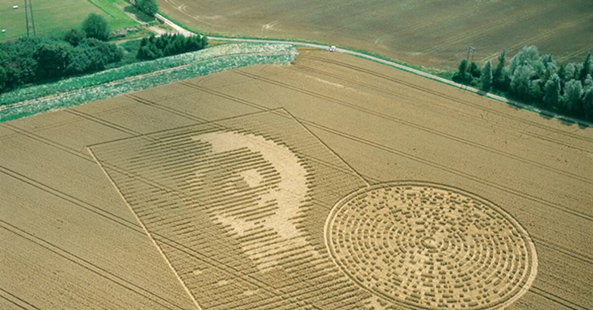 Field message. Круги на полях 2001. 2002 Лик на полях. Круги на полях в 2002 году. Круги на полях 1990 год.