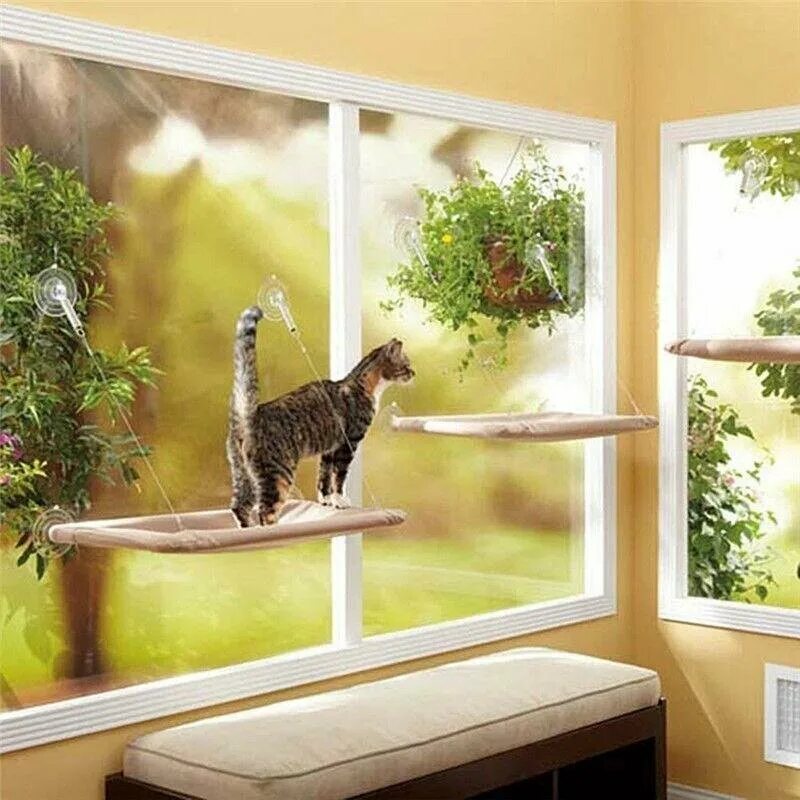 Балкон для кошек купить. Лежанка подвесная для кошек Sunny Seat Window Mounted Cat Bed. Кот на подоконнике. Балкон для кошек. Балкончик для кошки на окно.