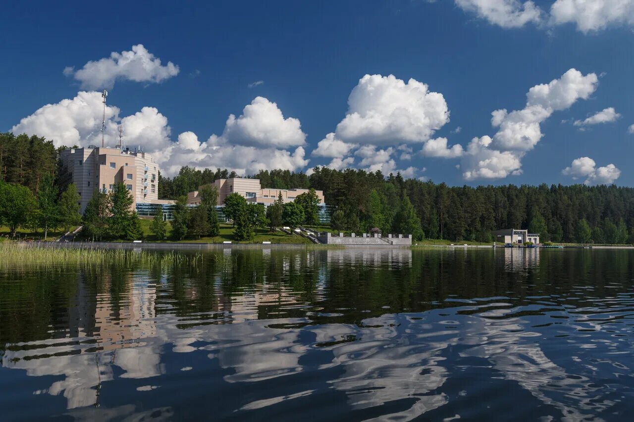 Рощино новгородская область