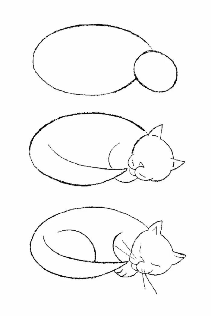 Пошаговое рисование для детей. Рисуем кошку. Простые поэтапные рисунки. Пошаговое рисование кота. Быстро просто кошка