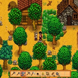 Сквош stardew valley