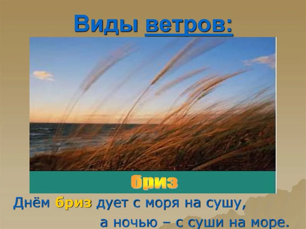 Как называется ветер который днем. Виды ветров Бриз. Ветер с моря дует. Ветер дующий днем с моря на сушу а ночью с суши на море. Ветер который дует с суши на море.