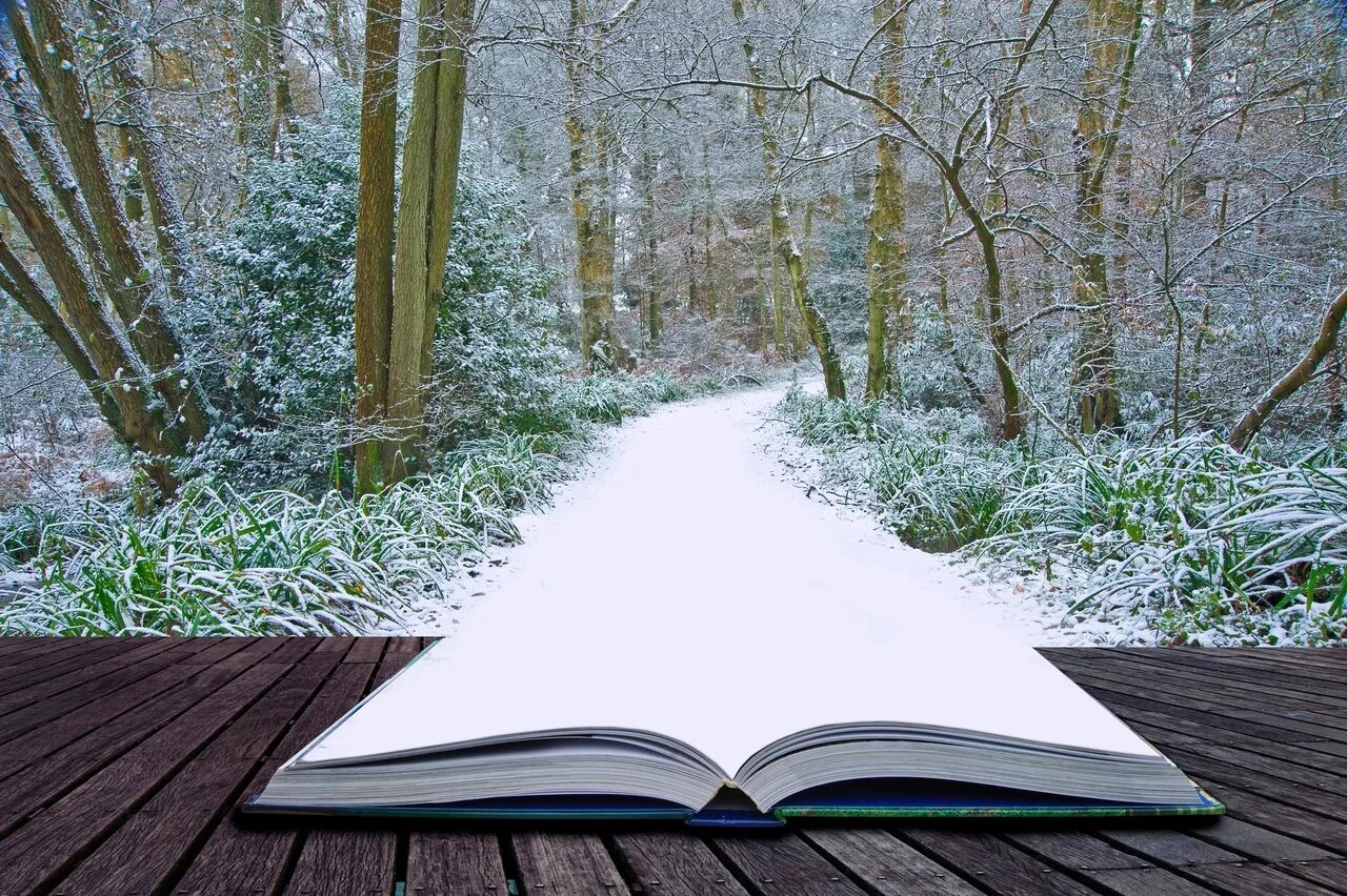 Зимняя книга. Книги winter. Зимняя книга. Книга на зимнем фоне. Книги для зимнего чтения.