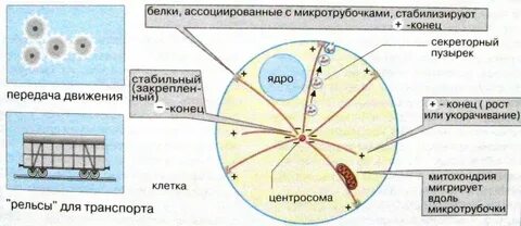 Минус плюс конец