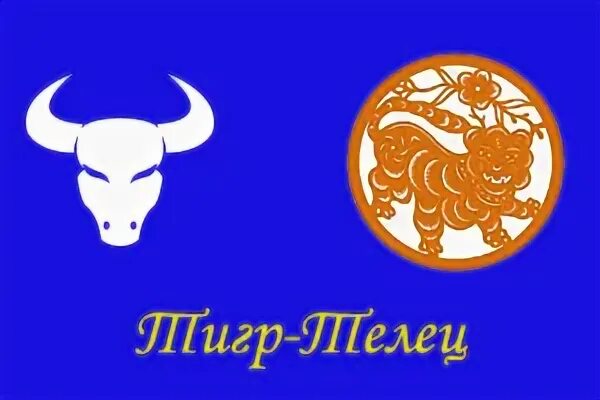 Год дракона в тельце