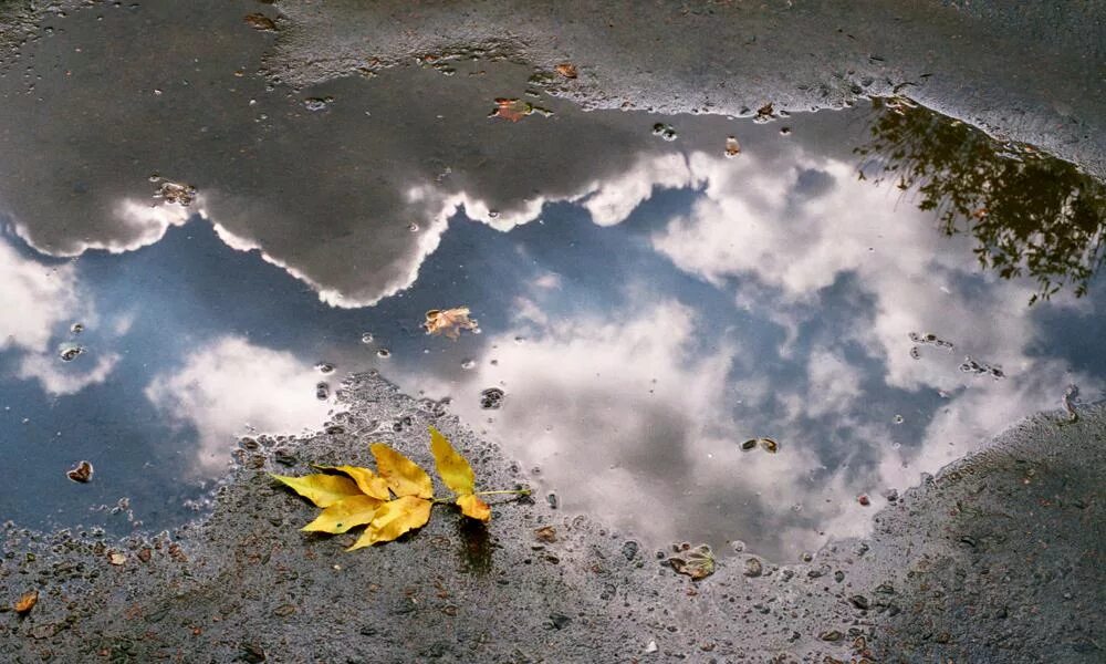 Небо в луже. Осколки неба книга. Горизонт событий. Фрагмент неба. Осколки неба.