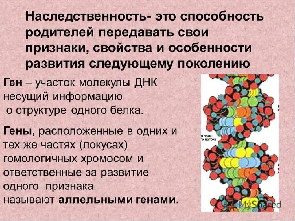 Информация о наследственных признаках. Наследственность презентация. Наследственность ДНК. Гены для презентации. Понятие о наследственности.