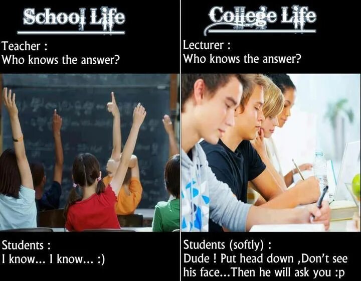 College answers. College Life. College Life галерея. School Life essay. Funny answers from students.