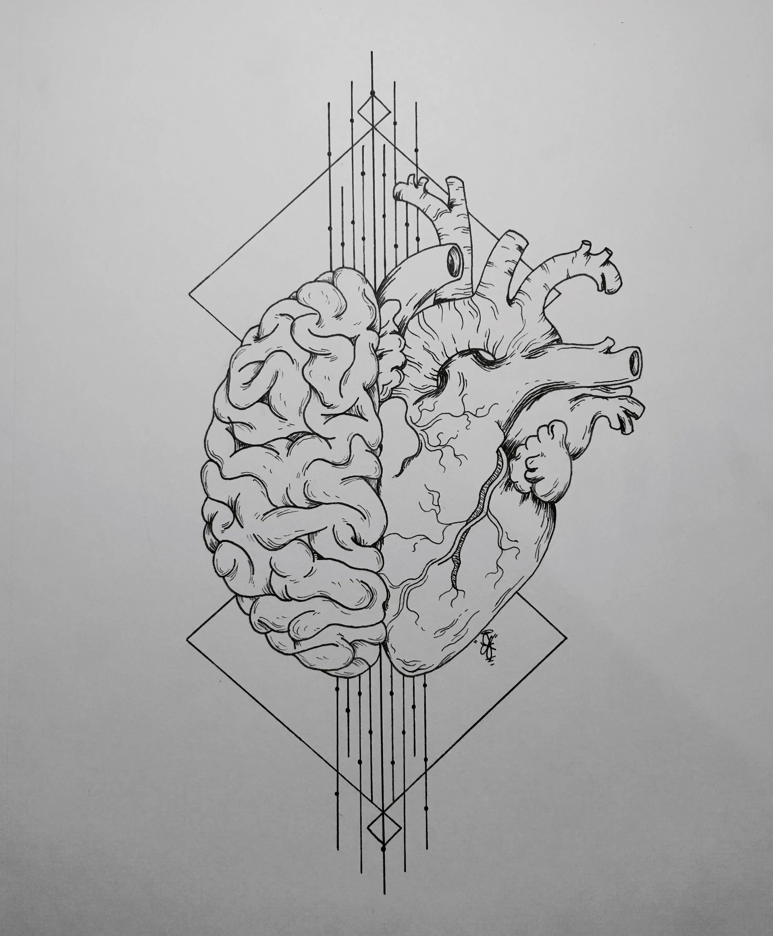 Тату сердце мозг. Сердце эскиз. Тату сердце мозг. Тату сердце мозг. Анатомические татуировки.