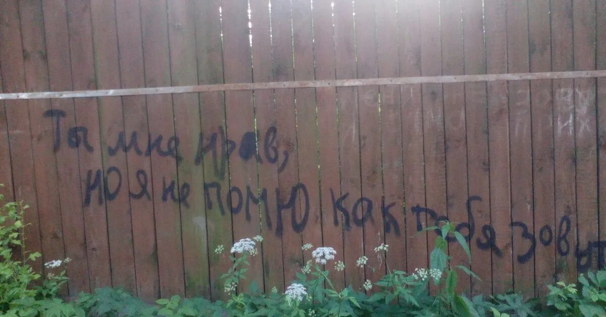 Читаю на заборе приехали диджеи. Надпись на заборе. прикольные надписи на заборе. смешные надписи на заборах. прикольный забор.