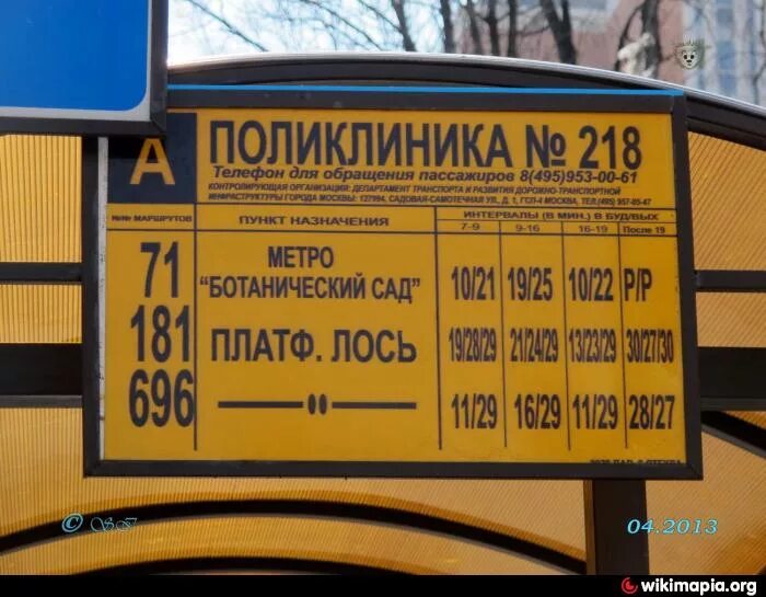 Остановка лось. Поликлиника 218 на Шокальского. Автобус до поликлиники. Остановка общественного транспорта поликлиника. Автобус 218.