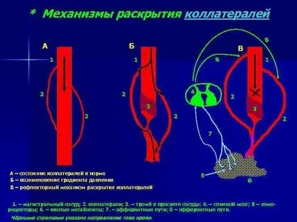 Раскройте механизм работы