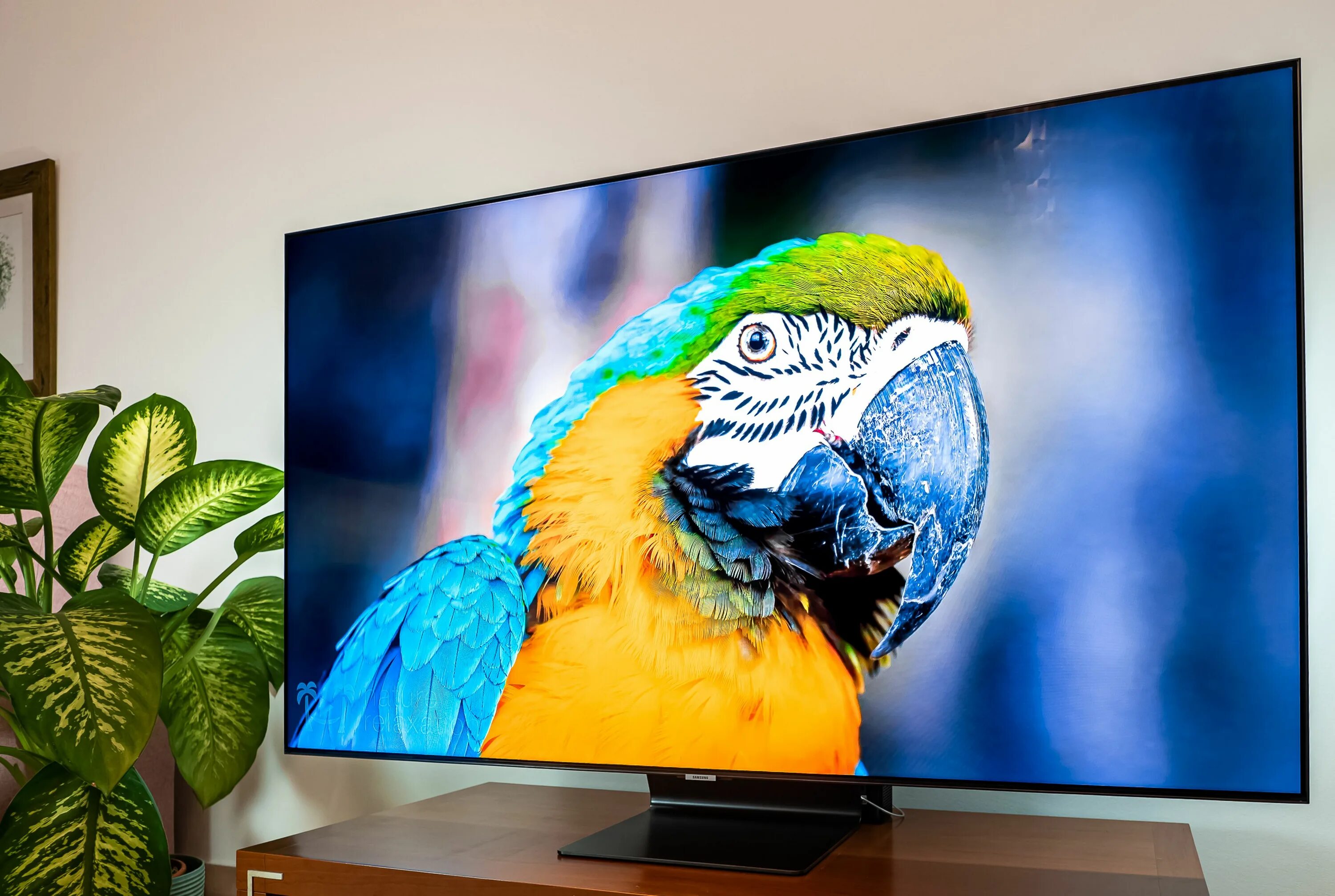 QLED 2018 Samsung. Телевизор q90 OLED 8k. OLED или QLED телевизоры. Телевизор QLED 20k.