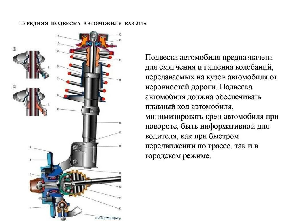 Из чего состоит передний