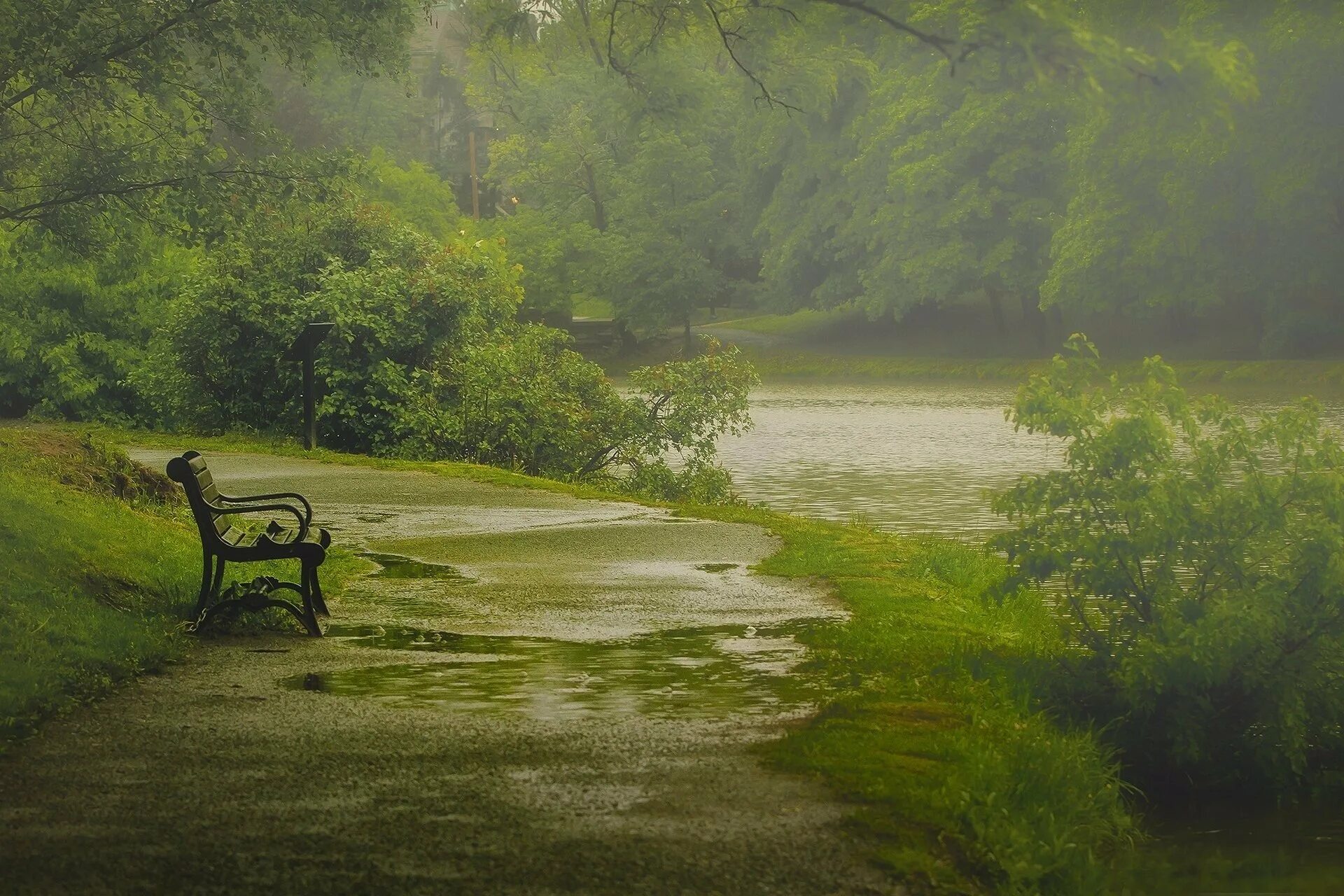 Raining rivers. Спокойный пейзаж. Нейтральный пейзаж. Умиротворяющий пейзаж. Природа дождь.