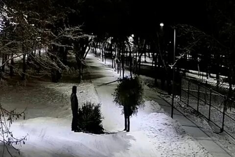 Похитители елок