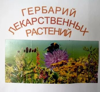 Растения читатели