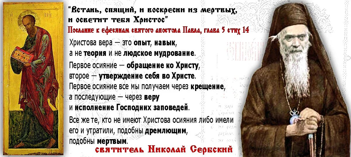 Воскреснуть близкое по значению