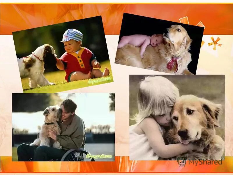 Друг человека всегда. Собака друг человека сочинение. Дружба картинки. Друг человека всегда. Человеческое счастье.