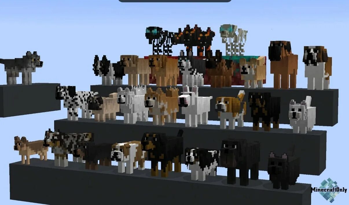 Мод быть собакой. Better dogs 1.16.5. собака в майнкрафте. собаки в майнкрафте мод. собака из майнкрафта.