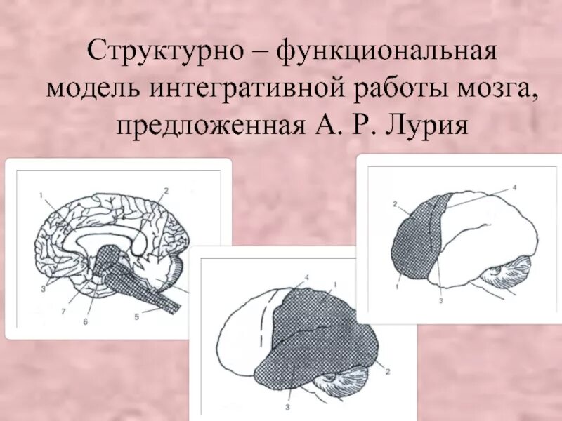 Нейропсихологическая тестовая батарея холстеда-рейтана. Батарея лурия. Батарея лурия. Батарея тестов нейропсихологических. Батарея лурия.