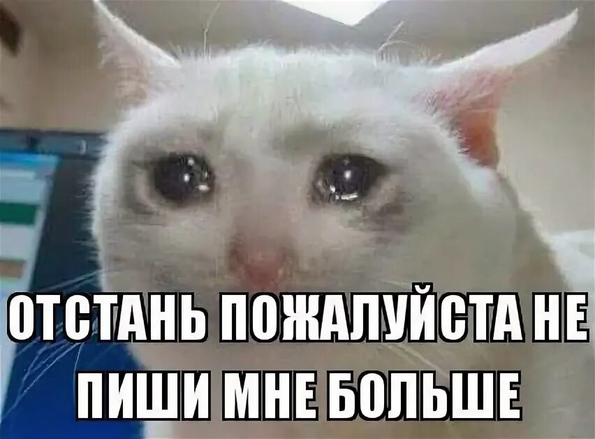 Что ответить на слово отстань. Не пиши мне больше. не пиши мне больше пожалуйста. надпись отстаньте. надпись отстань от меня.