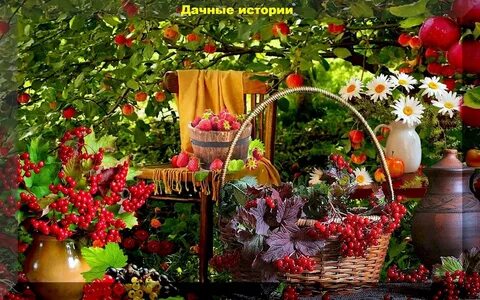 Садоводов 11