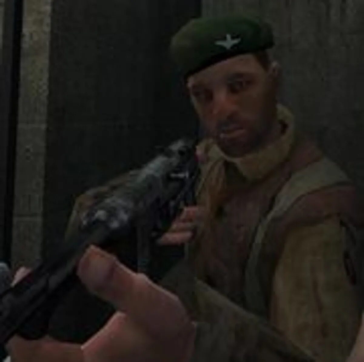 Call wiki. Call of duty 1 фоули. сержант уотерс.