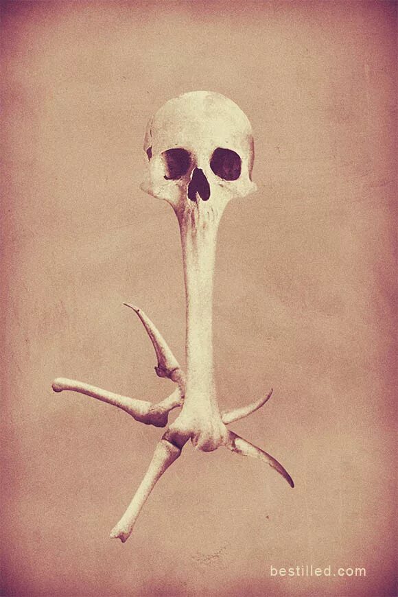 Bone art