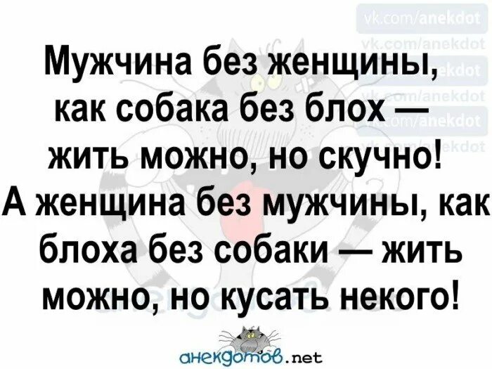 Женские анекдоты свежие. Мужчины без женщин. Муж без жены как собака без блох. Анекдот мужчина без женщины как собака без блох.