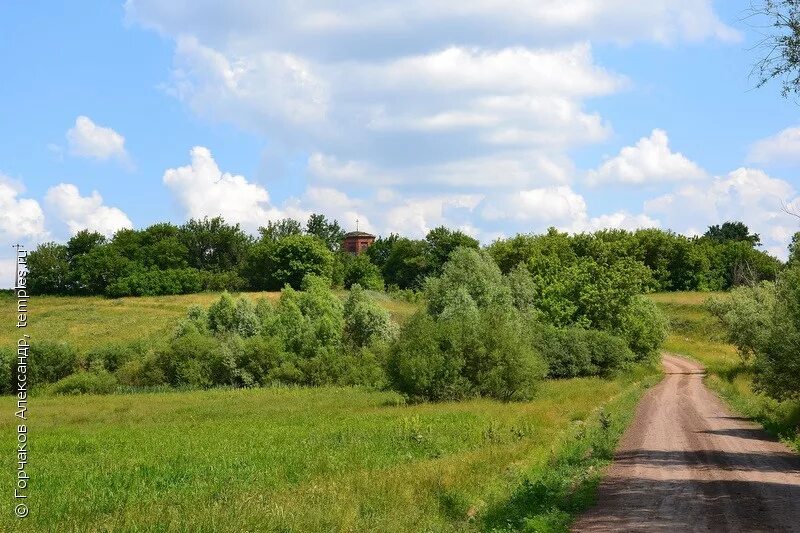 Линия орловская область. Дьячье Орловского района. Орловская область Новосильский район д Измайлово. Орловский равнина. Село Залесное Орловская область.