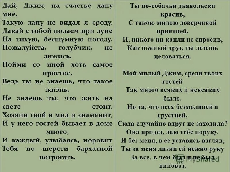 Такую лапу не видал я сроду