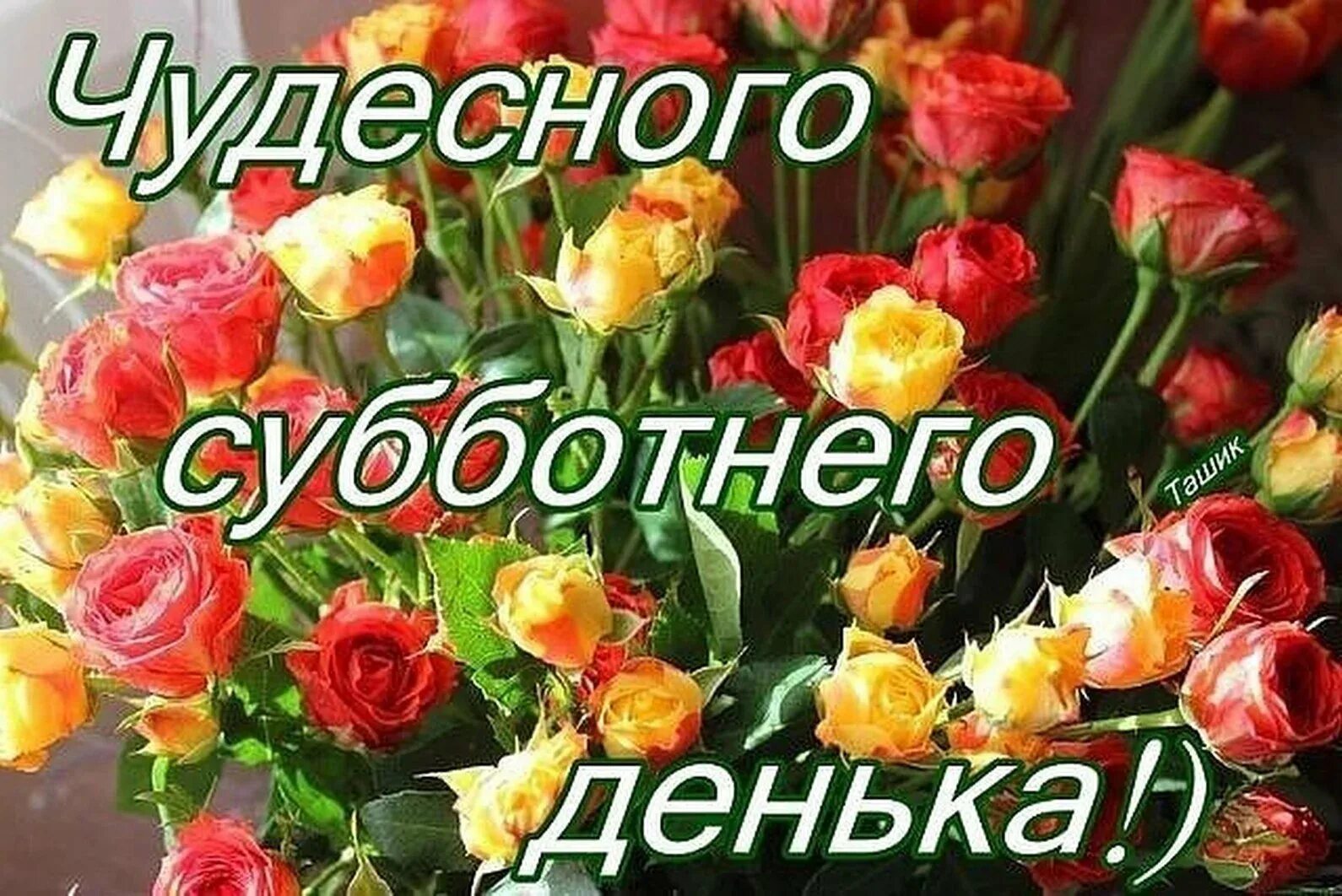 Суббота чудесного утра. Доброго субботнего дня. Хорошего дня субботы. Открытка хорошей субботы. Хорошего субботнего денечка и отличного настроения.