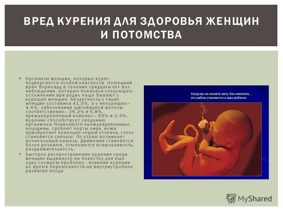 Влияние наркотиков на плод человека. Какую опасность подвергает курящую беременную женщину. Курит. Акой опасности курящая беременная женщина подвергает будущего ребе. Влияние табакокурения на беременность.